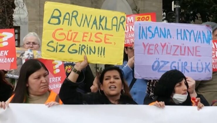 Yaşatacağız Platformu’ndan sahipsiz hayvanlarla ilgili kanuna karşı protesto