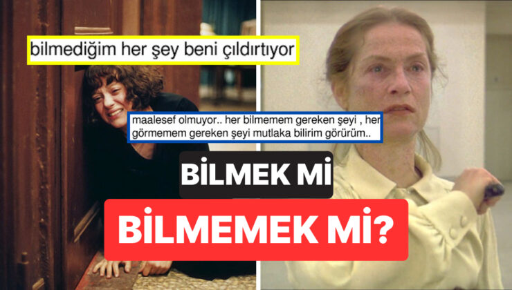“Bilmemek En Büyük Konfor Alanıdır” Diyen Kullanıcıya Gelen Pek Bi’ Haklı Yorumlar
