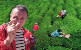 Çay üreticisi böyle isyan etti! “Bir paket cips kadar değerimiz yok mu?”