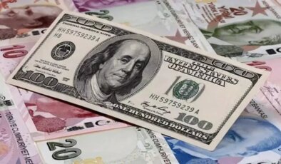 Dünyada milyar dolarlık şirket sayısı artıyor: Türkiye’nin sırası şaşırttı!