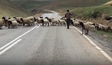 Vanlı besici: “Kurban Bayramı olsa ne olmasa ne, adam alamıyor ki”