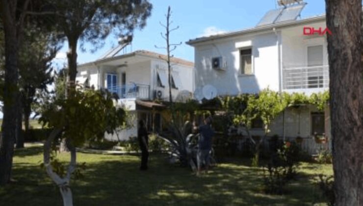 Antalya Serik'te Agave ağacı bulundu