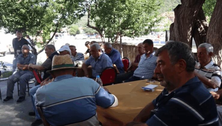Tanesi 10 liraya satılıyordu… Türkiye’nin en iyi kiraz bahçeleri sessiz, çiftçi perişan