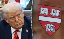 Trump yabancı öğrenci vizelerini askıya aldı