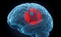 Valve’ın Neuralink rakibi bu yıl ilk beyin çipini piyasaya sürecek