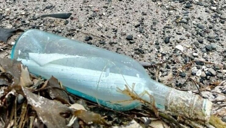 13 yıl sonra kıyıya vurdu: Dünya onları konuşuyor