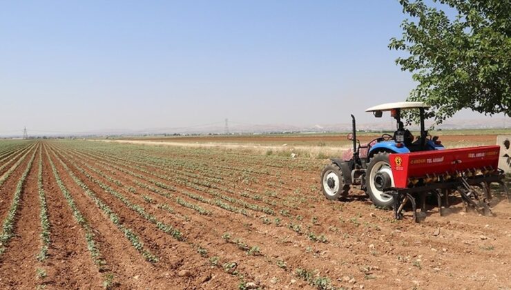 Haziranda üreticinin enflasyonu yükseldi