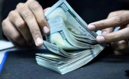 Maliye’den “vergisiz döviz düzeni” iddialarına yanıt