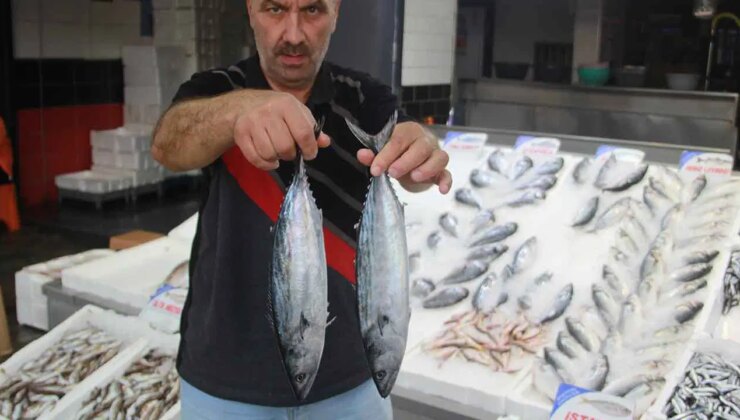 Tanesi 350 lira olunca tezgahın gözdesi bu sene değişti!