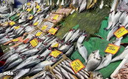 Fiyatlar uçtu balık sofradan kaçtı