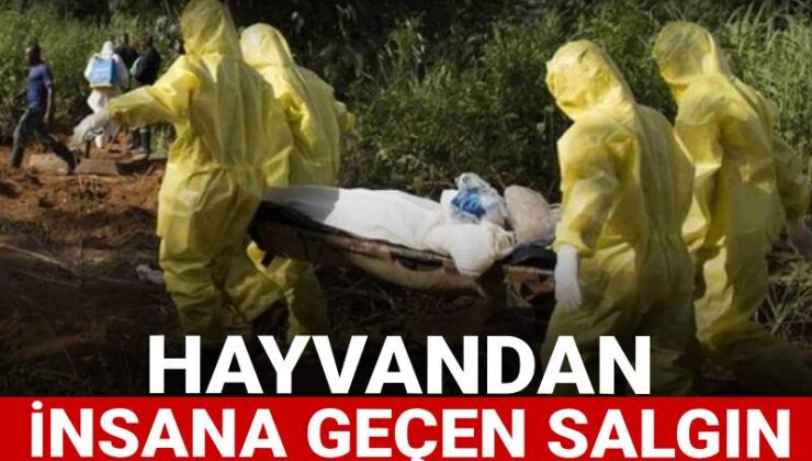 Hayvandan insana geçen salgın 356 can aldı: Hükümet bu hayvanlara teması yasakladı