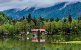 Milli Parklar Kanunu’nda değişiklik teklifi komisyondan geçti