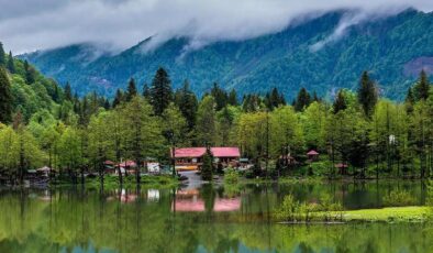 Milli Parklar Kanunu’nda değişiklik teklifi komisyondan geçti