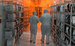 Nexperia krizi: Avrupa’da otomobil üretimi tehlikede