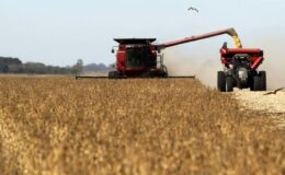 TÜİK bitkisel üretim ikinci tahminini açıkladı