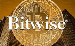Bitwise, Tron ve Bittensor dahil 11 farklı altcoin için ETF başvurusu yaptı