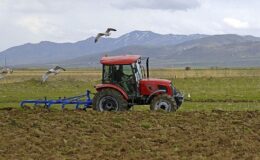 Çiftçilere kritik ÇKS uyarısı: Başvuruyu yıl sonuna bırakmayın