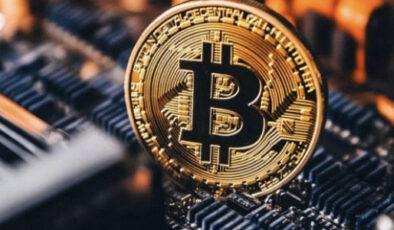 Kripto paralardaki ekim çöküşünün kalıcı izleri yatırımcı davranışını değiştirdi