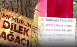 Sesini duyuramayan memurlar çareyi dilek ağacında aradı